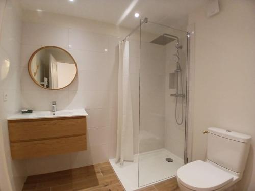 a bathroom with a shower and a toilet and a sink at La maisonnette in Saint-Georges-de-Luzençon
