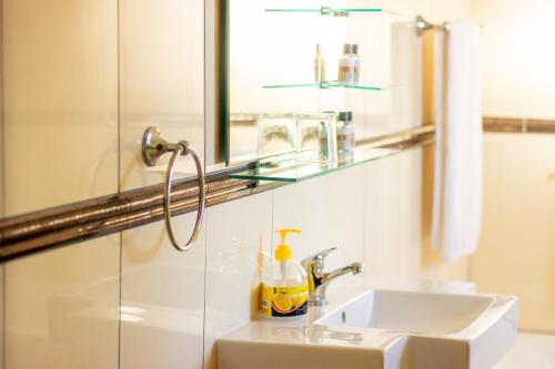 a bathroom with a sink and a mirror at Simlily Place in East London