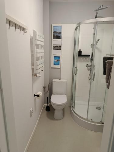 a bathroom with a toilet and a glass shower at Villa Antonina Apartamenty z aneksem in Czaplinek