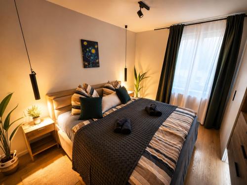 Cucconi Apartment