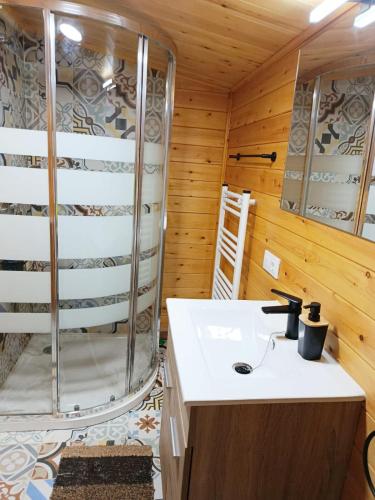 a bathroom with a shower and a sink at La cabaña de Magui in Riópar