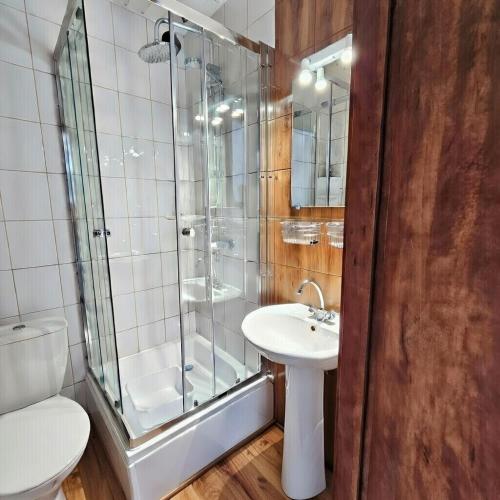 a bathroom with a shower and a sink and a toilet at Fox pokoje-apartament-domki in Władysławowo