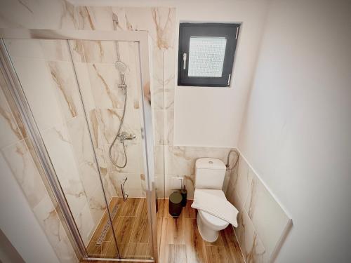 a bathroom with a shower and a toilet at Salt Cabins in Ocniţa