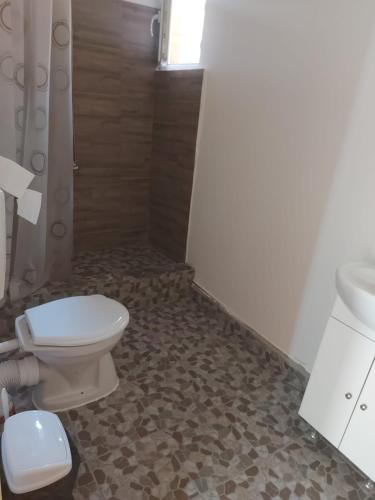a bathroom with a toilet and a sink at Casa de vacanță la Dunăre in Sviniţa