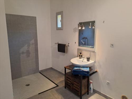 a bathroom with a sink and a shower at Appartement saumon 3p in Rognes