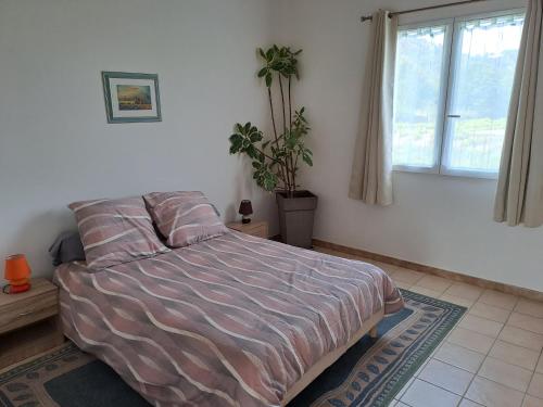 a bedroom with a bed and a potted plant at Appartement saumon 3p in Rognes