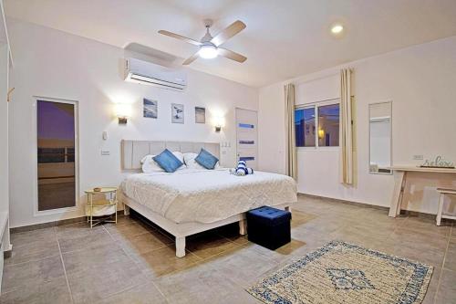 a white bedroom with a bed and a ceiling fan at SUNRISE Heated Pool Ocean View Walk to beach in La Ventana