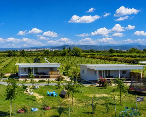 a house in the middle of a vineyard at Agroktima Arta - Farm Stay in Arta