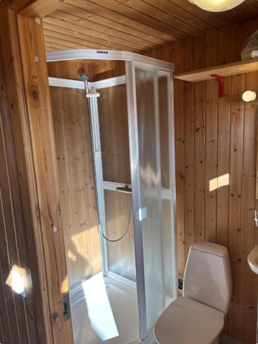 a shower in a wooden bathroom with a toilet at Summerhouse Torfalundur in Blönduós