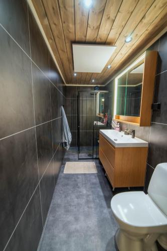 a bathroom with a toilet and a sink and a mirror at Cosy house in Ringebu kommune in Ringebu