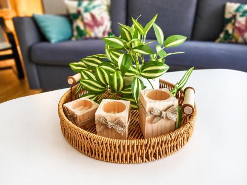 a basket with shoes and a plant on a table at El Refugio de Yetana Centro ciudad con parking in Cartagena