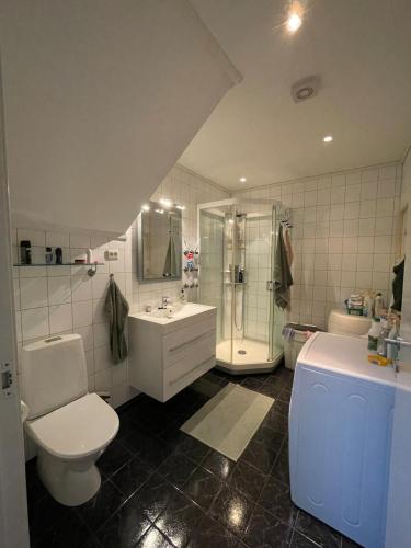 a bathroom with a toilet and a shower and a sink at Apartment with great sunset view! in Lyngdal