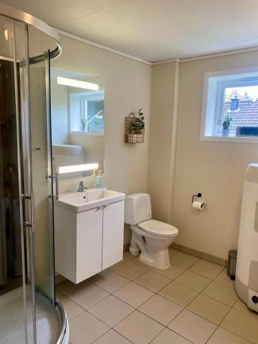 a bathroom with a toilet and a sink and a shower at Apartment Mandal in Mandal