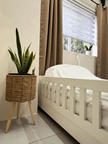a bedroom with a white crib and a plant next to a window at Downtown Hostel Jamaica in Kingston
