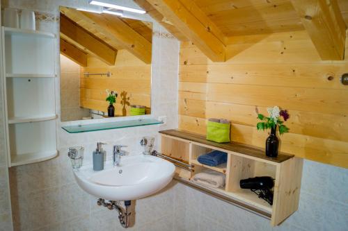 a bathroom with a sink and a wooden wall at Ganoihof apartments in Funes