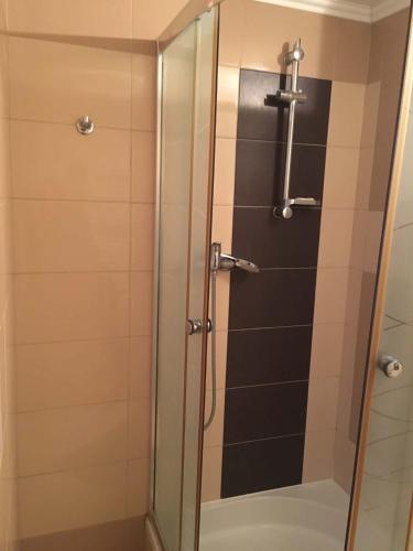 a shower with a glass door in a bathroom at Agroturystyka Kuźnia in Neple