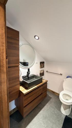 a bathroom with a sink and a mirror and a toilet at Le Shack du Nord in Mont-Laurier