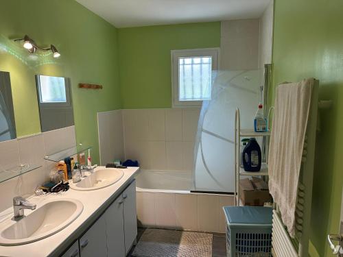 a green bathroom with two sinks and a bath tub at Chambre à louer dans villa ou Location maison entière in Montjoux