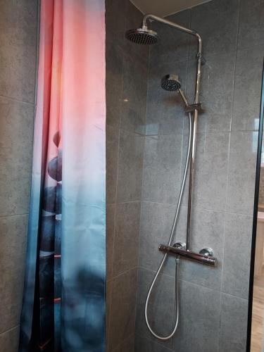 a shower with a shower head and a shower curtain at North Street Sandgerði in Sandgerði