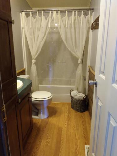 a bathroom with a toilet and a shower with a window at The Moseley-Smith Plantation SHARED LIVING Queen Bedroom in Aiken