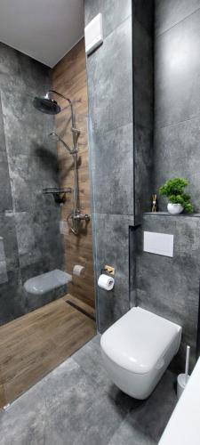 a bathroom with a toilet and a shower at SIA Thermal Felix - Calm & Comfort near Apollo Thermal Bath in Baile Felix