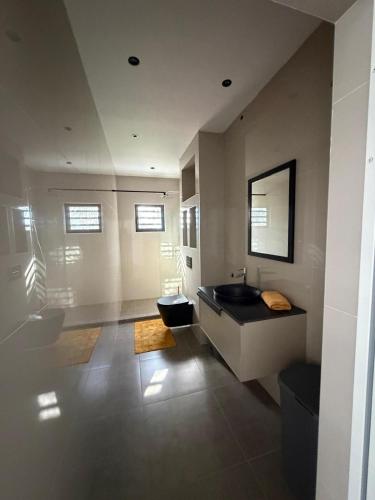 a bathroom with a sink and a toilet at Blanquila Resort in Willemstad