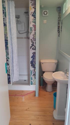 a bathroom with a toilet and a sink at Jack's place in Balnakeil