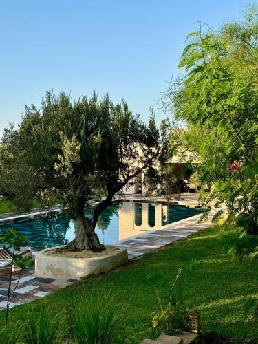 Oliveraie Hammamet