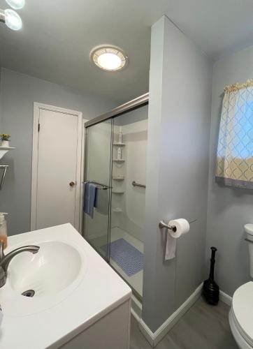 a bathroom with a sink and a glass shower at Xuan Pine House in Altoona