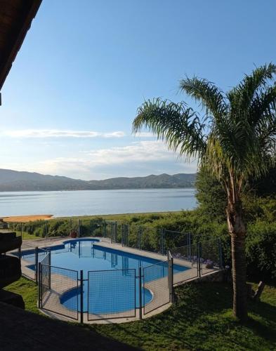 a swimming pool with a palm tree and the water at Cabañas Lago Azul in Villa Santa Cruz del Lago
