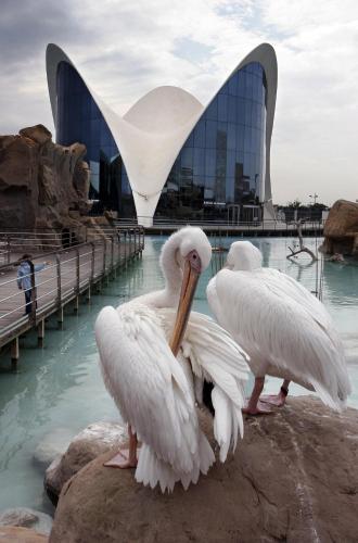 Apartamentos Nuevos en Valencia