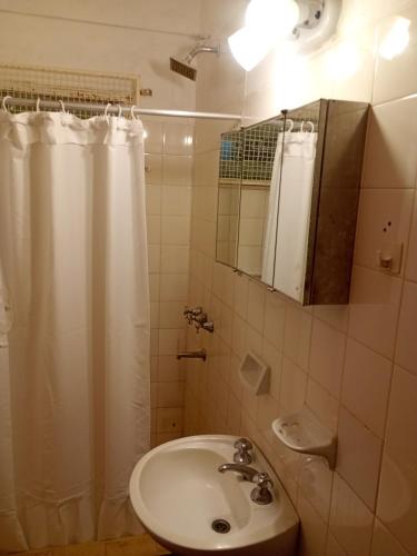 a bathroom with a sink and a shower and a mirror at Lindo recuerdos in Posadas