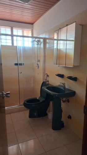 a bathroom with a toilet and a sink and a shower at La almeja in Nueva Gorgona