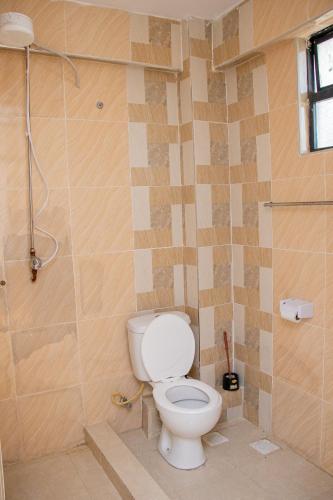 a bathroom with a toilet and a shower at ACARA HAVEN Kisumu in Kisumu