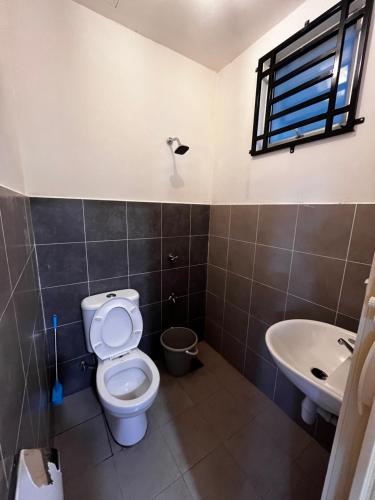a bathroom with a toilet and a sink at D Alamanda Homestay in Kampong Kapinan