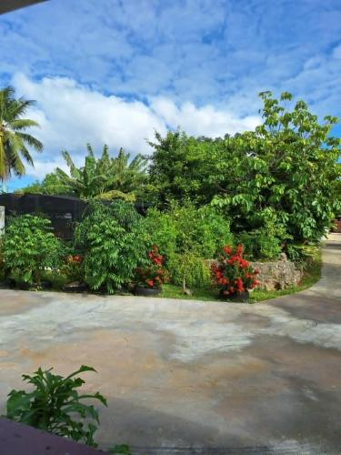 a garden with trees and flowers in a yard at Talipaea Lodge in Nuku‘alofa
