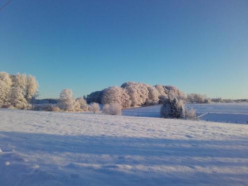 a field covered in snow with trees in the background at Gîte Les Hirondelles in Plombières-les-Bains