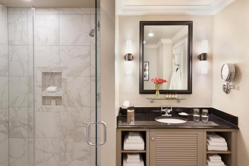 La salle de bains est pourvue d'un lavabo et d'une douche. dans l'établissement French Quarter Inn, à Charleston