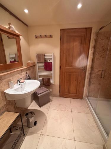 a bathroom with a sink and a shower at Bruyère en Fleur in Clugnat