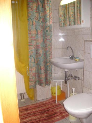 ein Bad mit einem WC und einem Waschbecken in der Unterkunft Weinbau-Gästezimmer Martin und Eva Maria Jamek in Weissenkirchen in der Wachau
