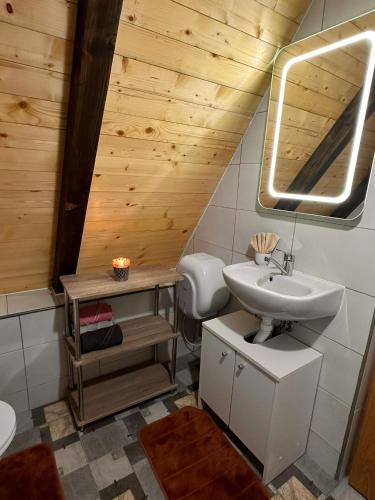 a bathroom with a sink and a mirror at Vikendica Golubicanka in Bihać