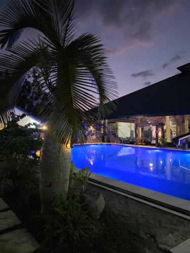 a palm tree next to a swimming pool at night at Gilkrissa Garden in San Nicolas