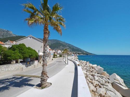 Apartments Dva Galeba - One Bedroom Apartment with Garden Terrace 202
