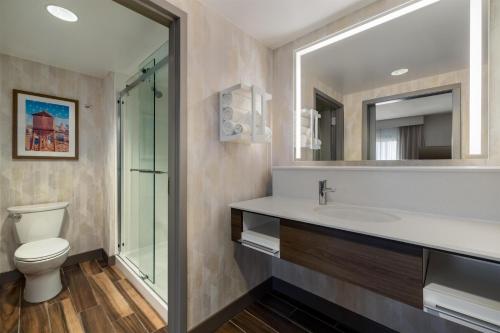 a bathroom with a toilet and a sink and a mirror at Hampton Inn & Suites West Des Moines Mill Civic in West Des Moines