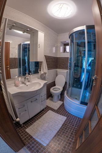 a bathroom with a shower and a sink and a toilet at Elegant Private Villa with 3 Bedrooms, Office, and shared courtyard, Perfect for 8 Guests in Piteşti