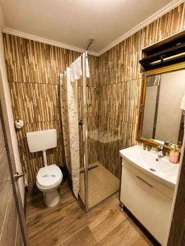 a bathroom with a shower and a toilet and a sink at Hill House in Drobeta-Turnu Severin