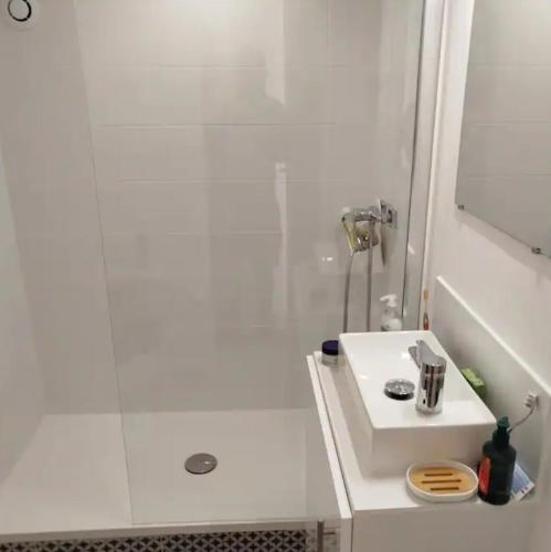 a white bathroom with a shower and a sink at Le nid douillet in Aydat