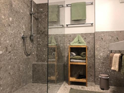 a bathroom with a shower and a shower at Alte Schmiede in Balderschwang