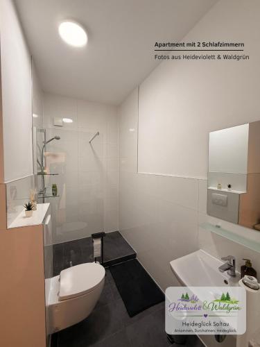a bathroom with a white toilet and a sink at Heideglück Soltau - Ferienwohnungen An der Weide in Soltau