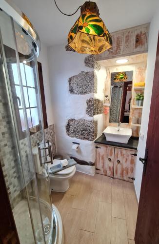 a bathroom with a shower and a toilet and a sink at LUANA APARTMENT in Teguise